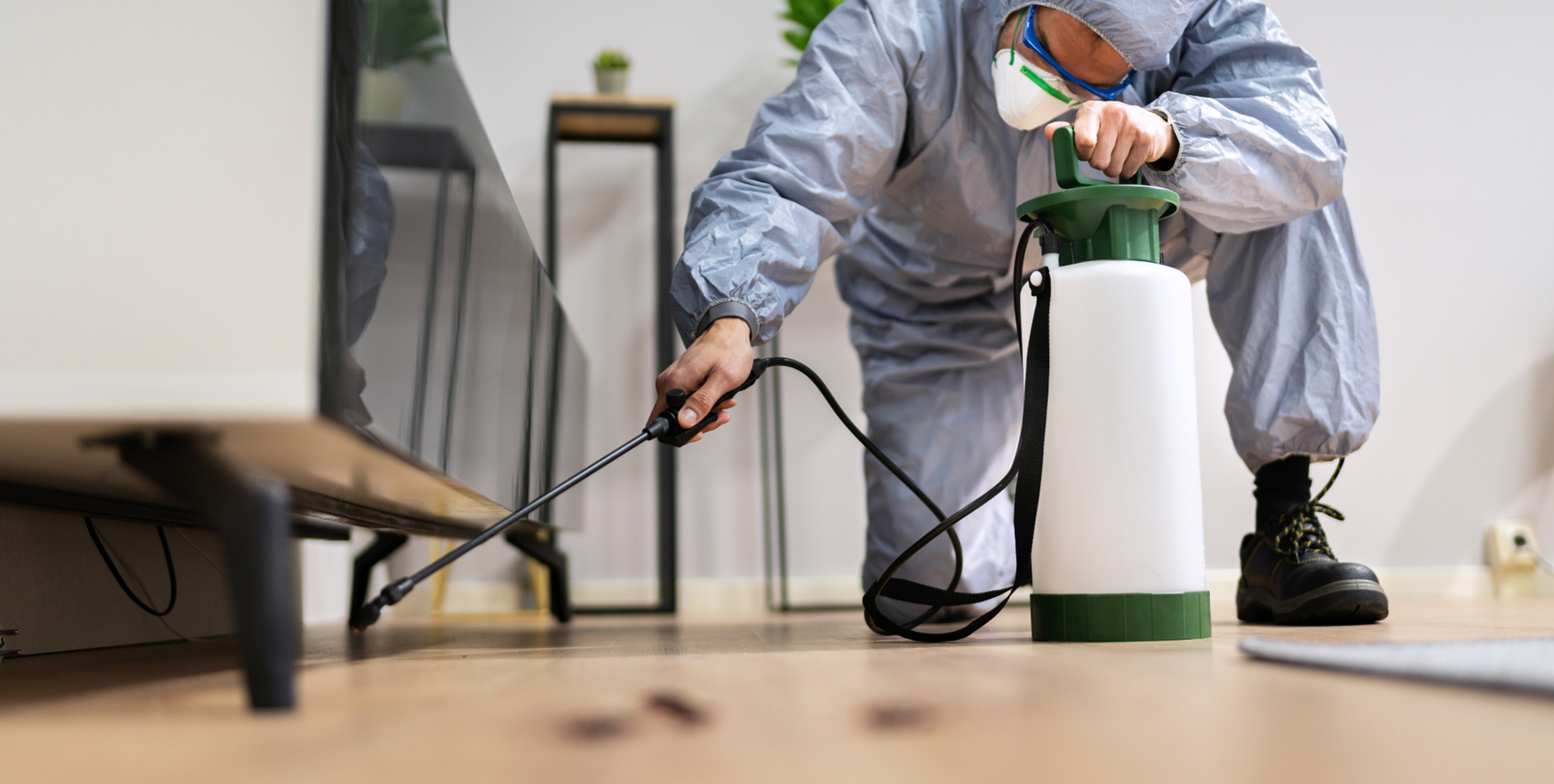 Cockroach Control Singapore