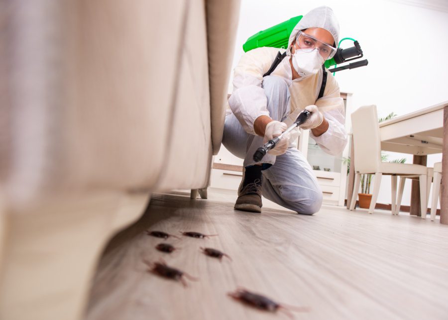 Subterranean Termites Control